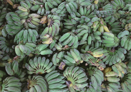 green bananas